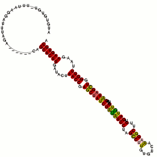 secondary structure