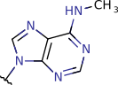 N6-methyl-adenine (methyl-syn)