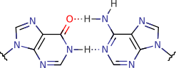 hypoxanthine_adenine_pair