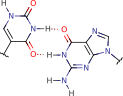 pseudouracil_guanine_pair