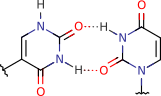 pseudouracil_uracil_pair_0